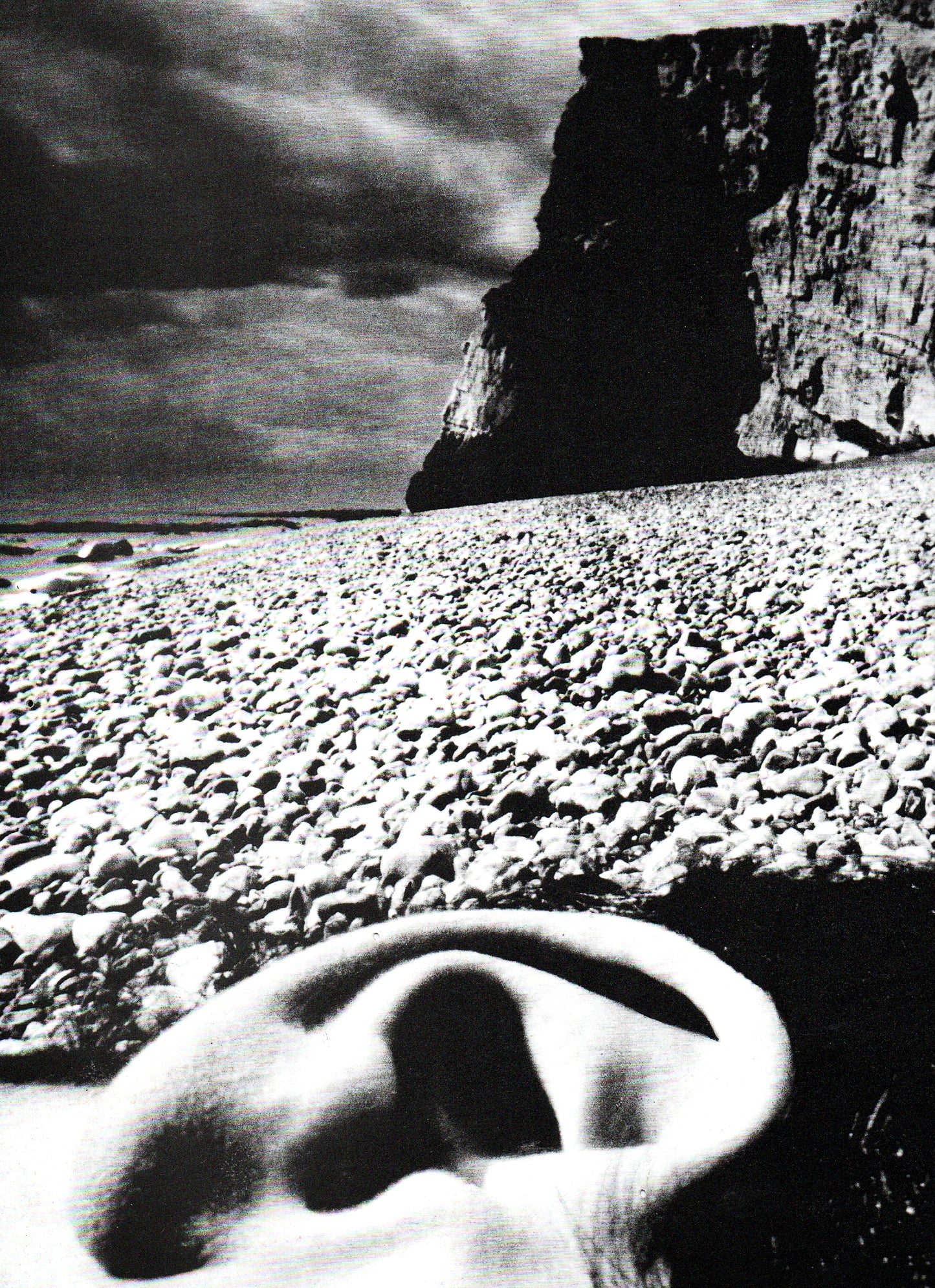 Bill Brandt: Nudes 1945-1980