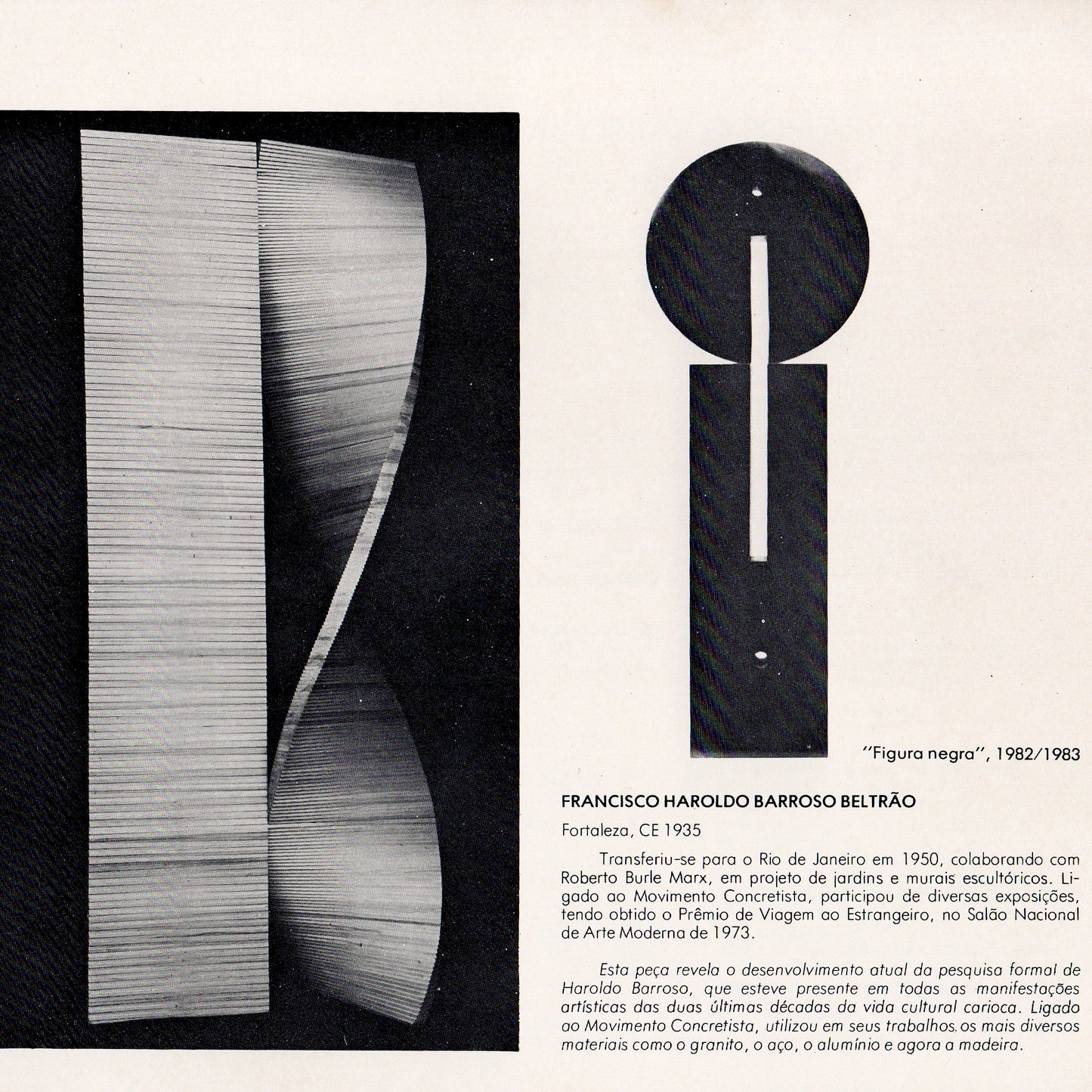 Arte Brasileira Século XX