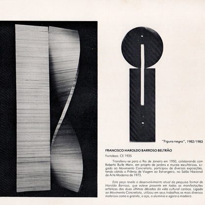 Arte Brasileira Século XX