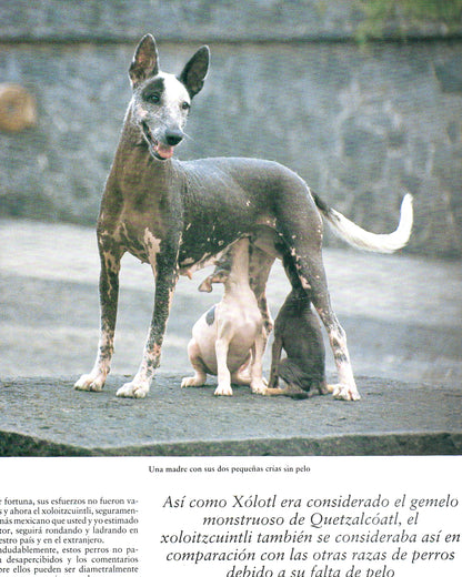 México Desconocido