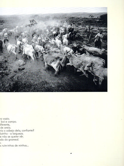 A João Guimarães Rosa