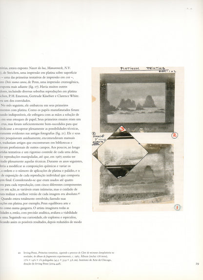 Irving Penn: Centenário