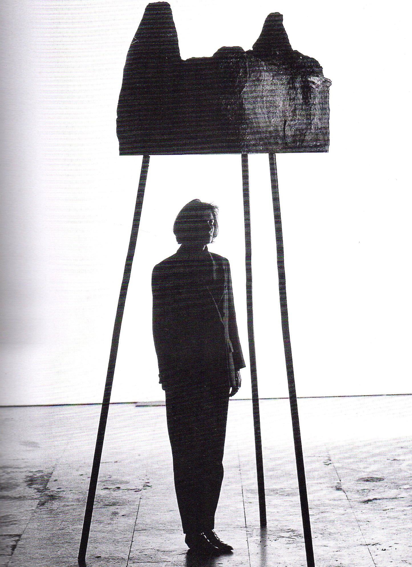 Marina Abramović: Artist Body + Public Body