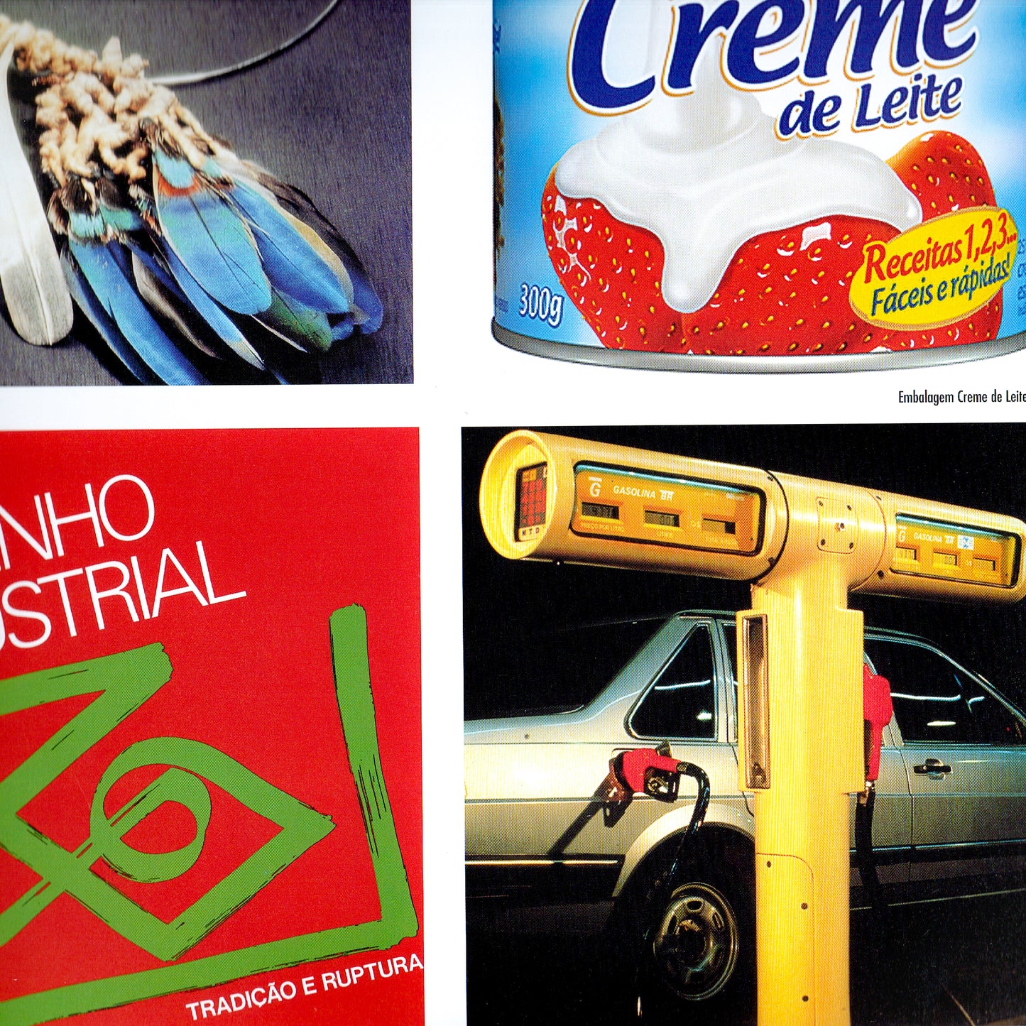 Um Olhar Sobre o Design Brasileiro