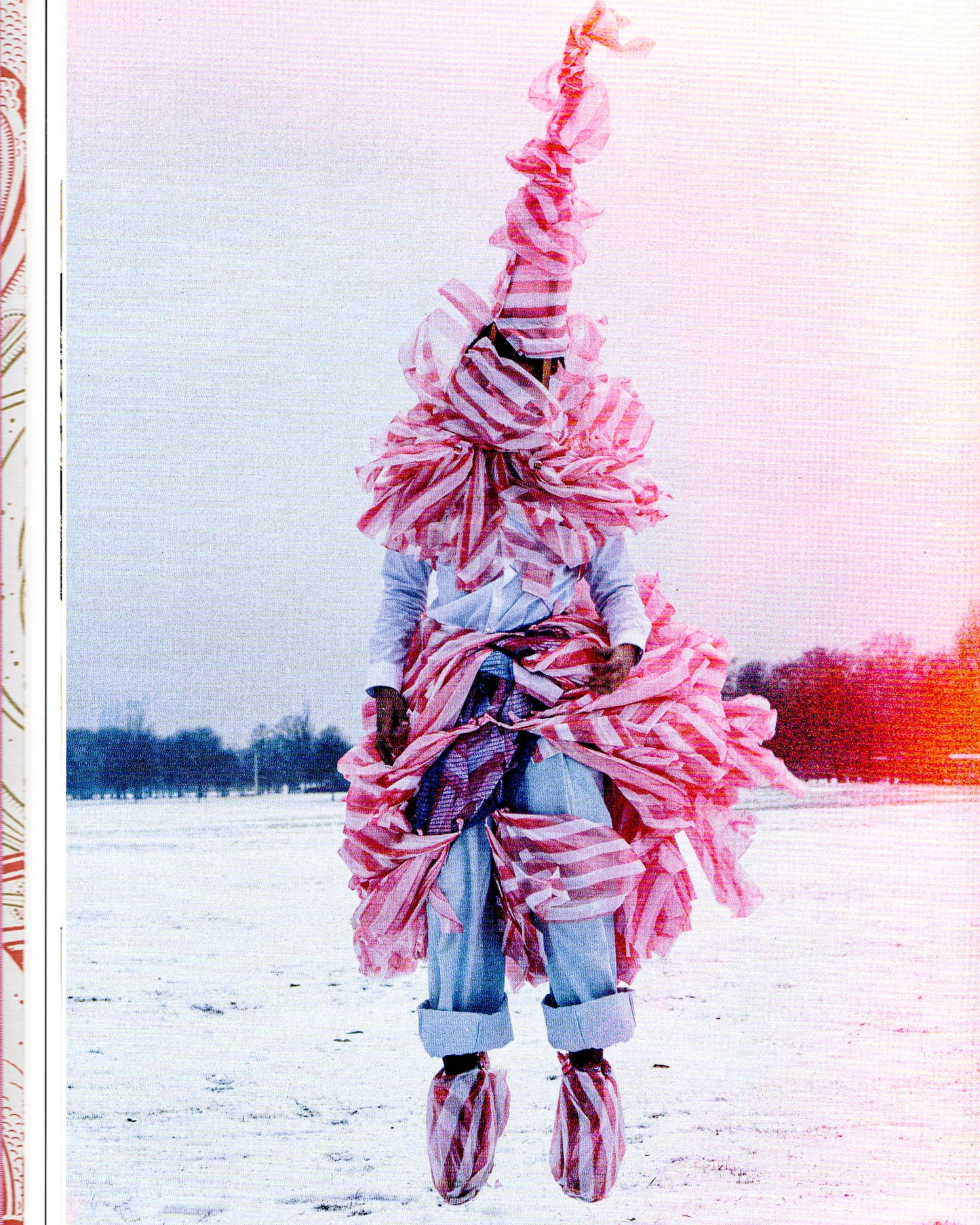 Tim Walker: Wonderful Things
