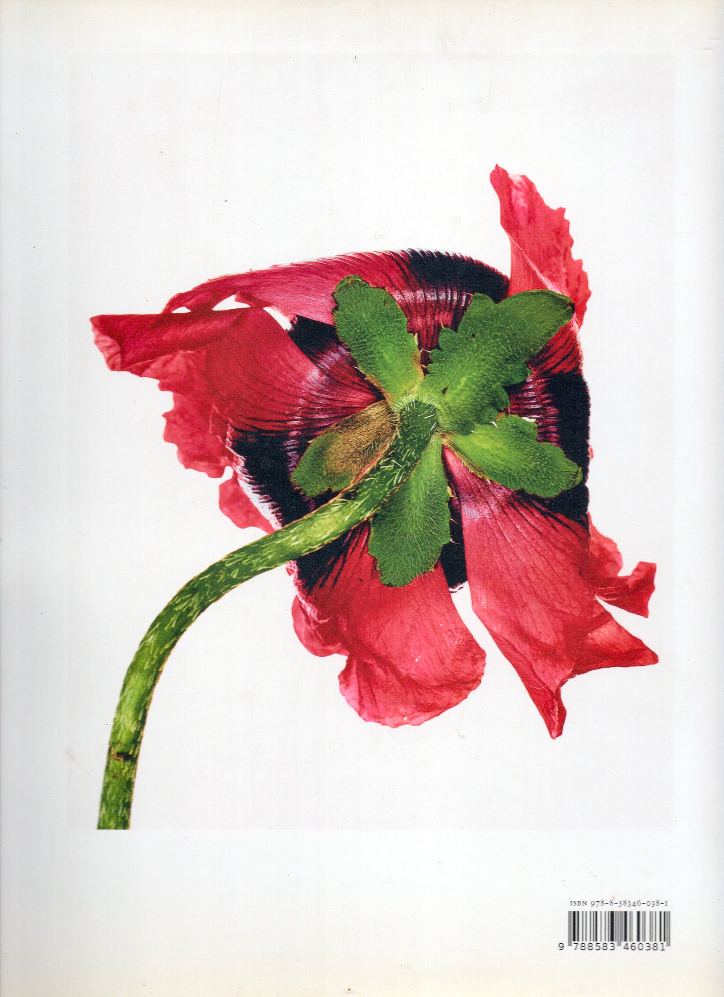 Irving Penn: Centenário