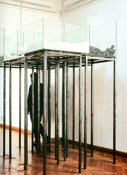 Marina Abramović: Artist Body + Public Body
