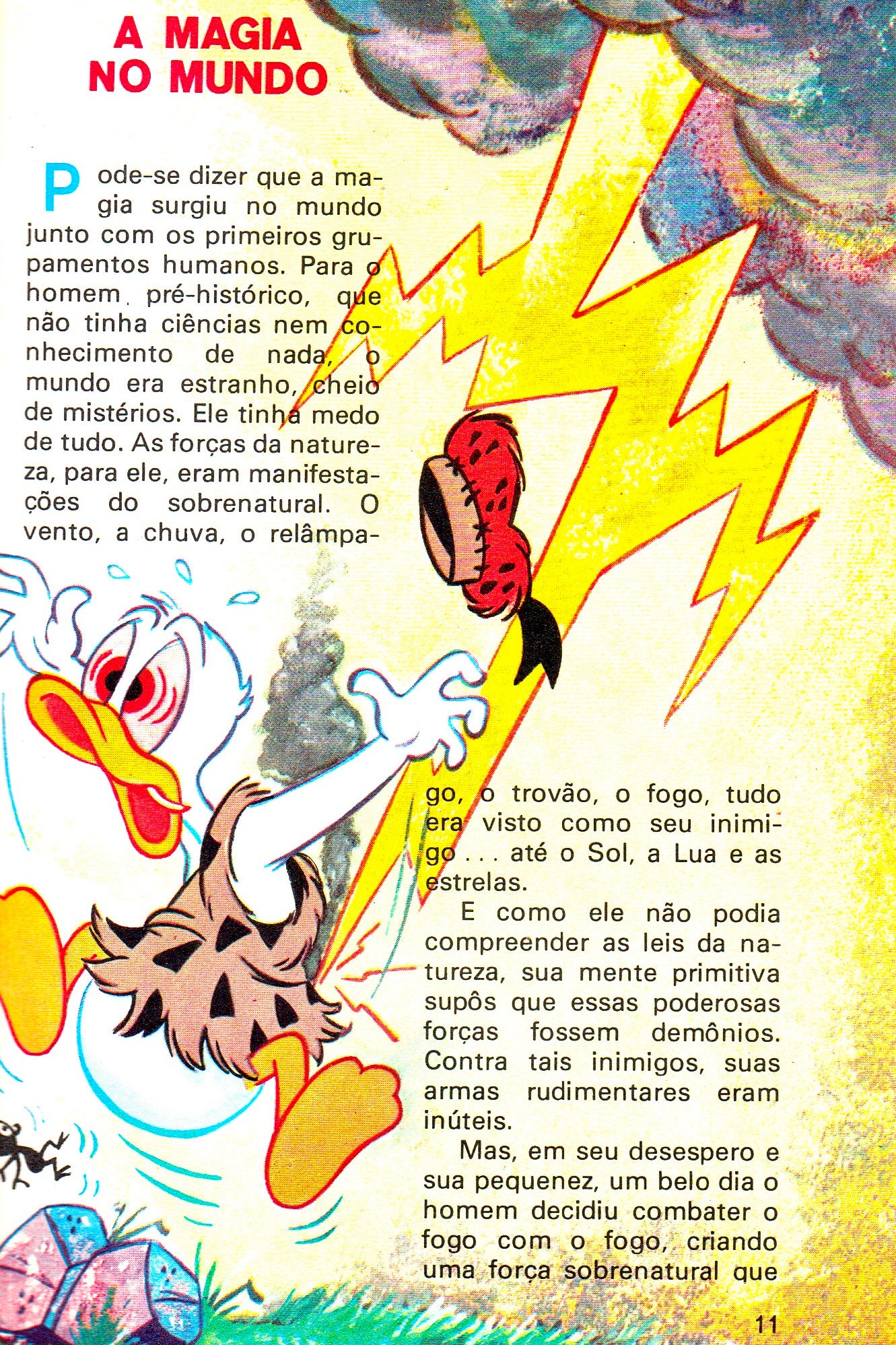 Manual da Maga & Min