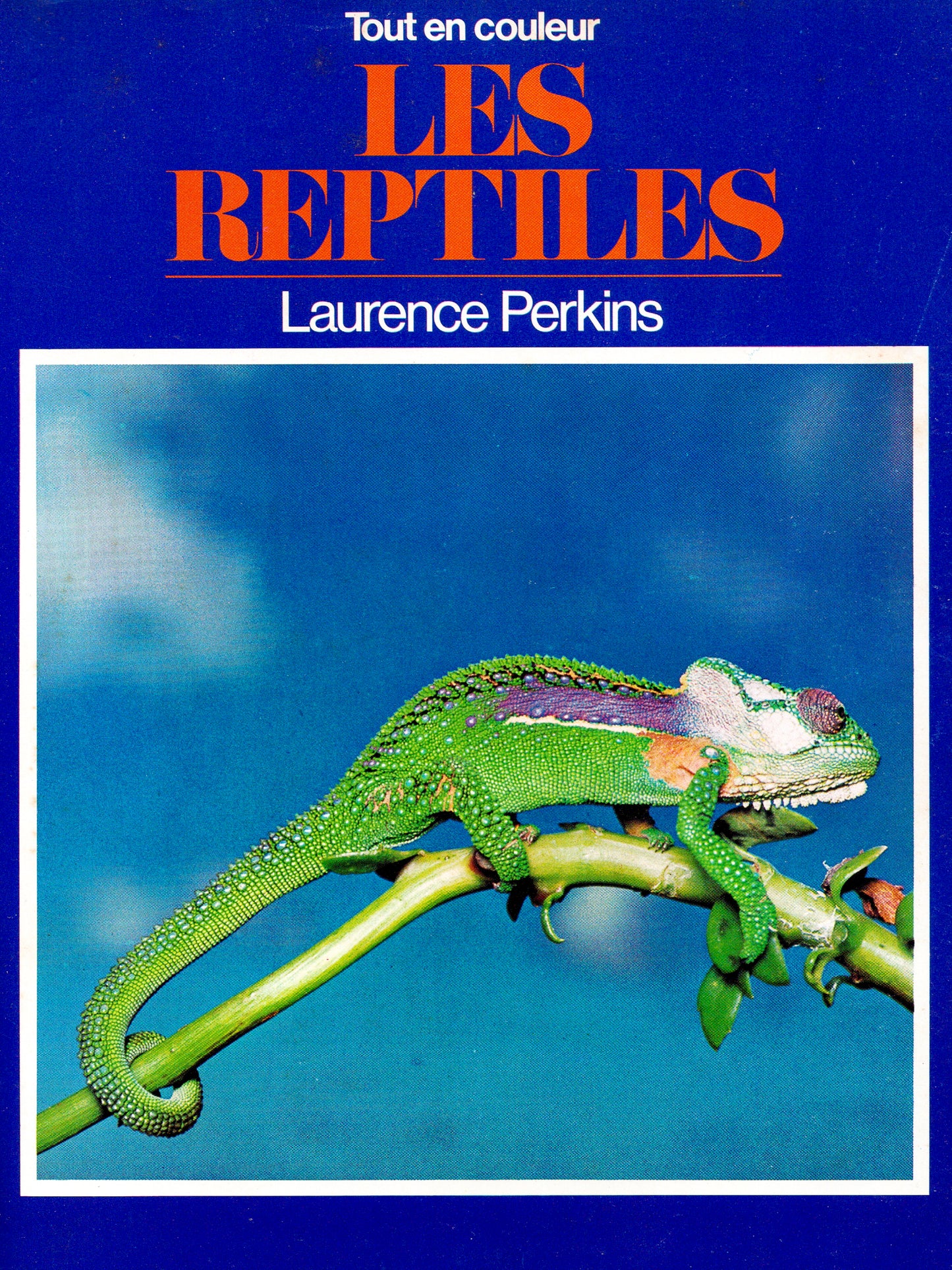 Les Reptiles