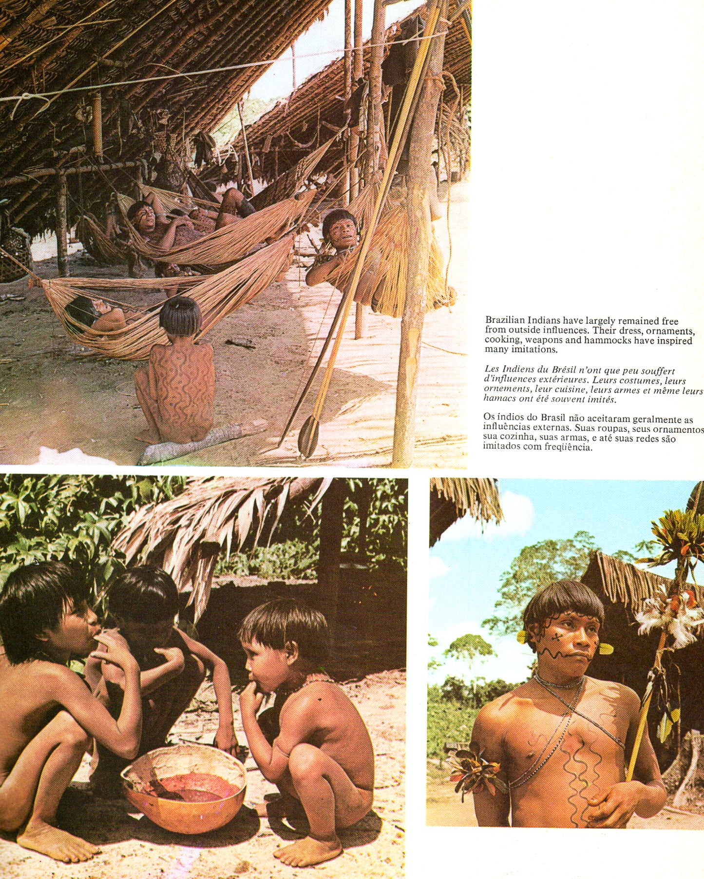 Amazônia: O Desafio dos Trópicos