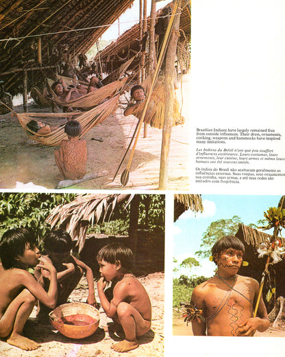 Amazônia: O Desafio dos Trópicos