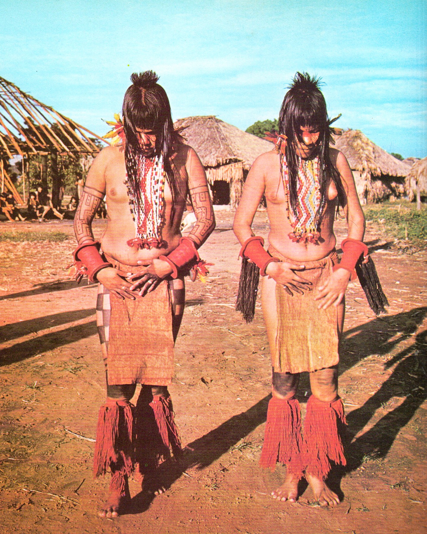 Amazônia: O Desafio dos Trópicos