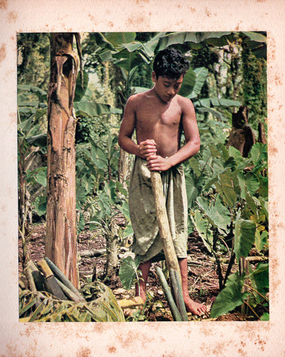 Polynésie: Les Samoa