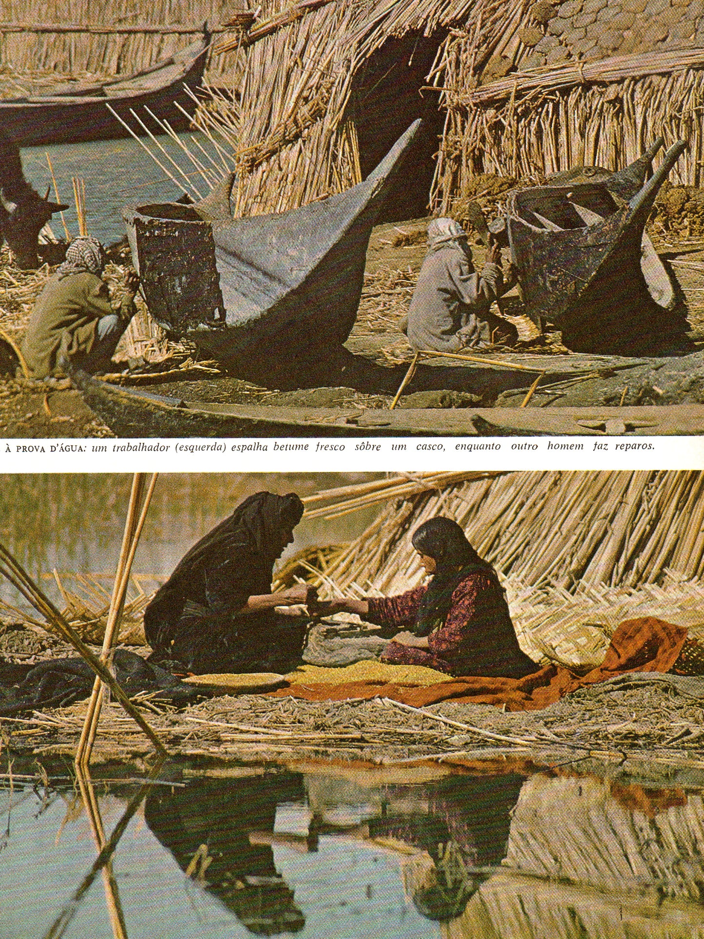 Mesopotâmia: O Berço da Civilização