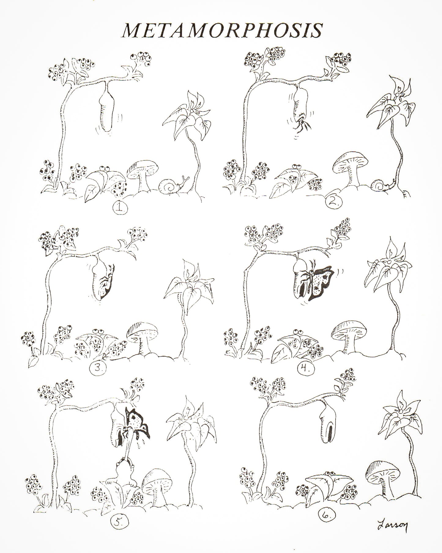 The PreHistory of The Far Side