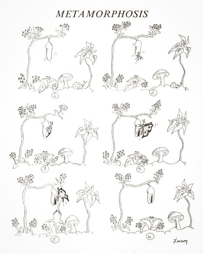 The PreHistory of The Far Side