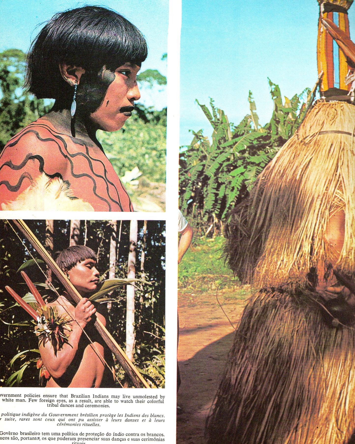 Amazônia: O Desafio dos Trópicos