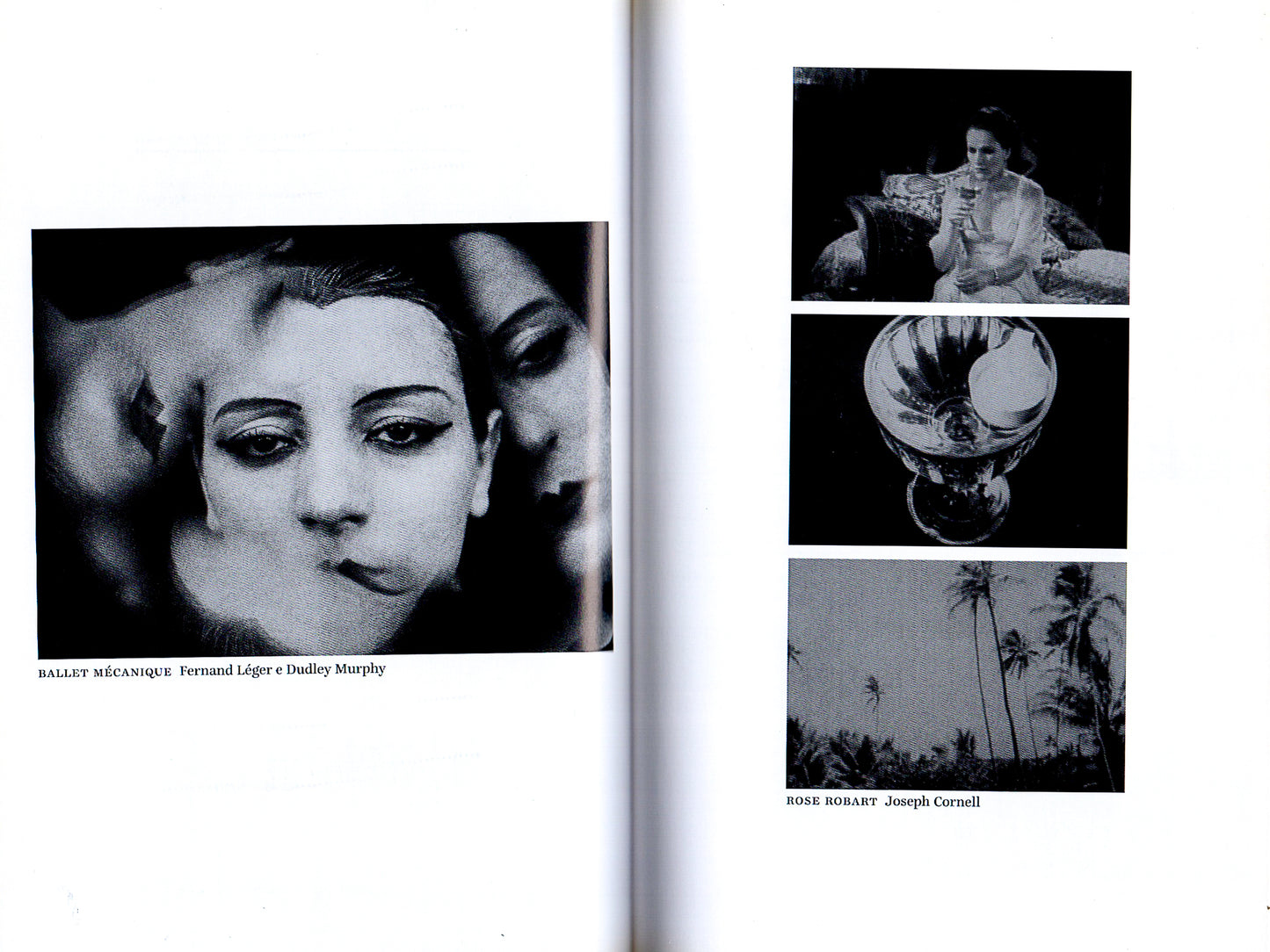 Surrealismo & Vanguardas