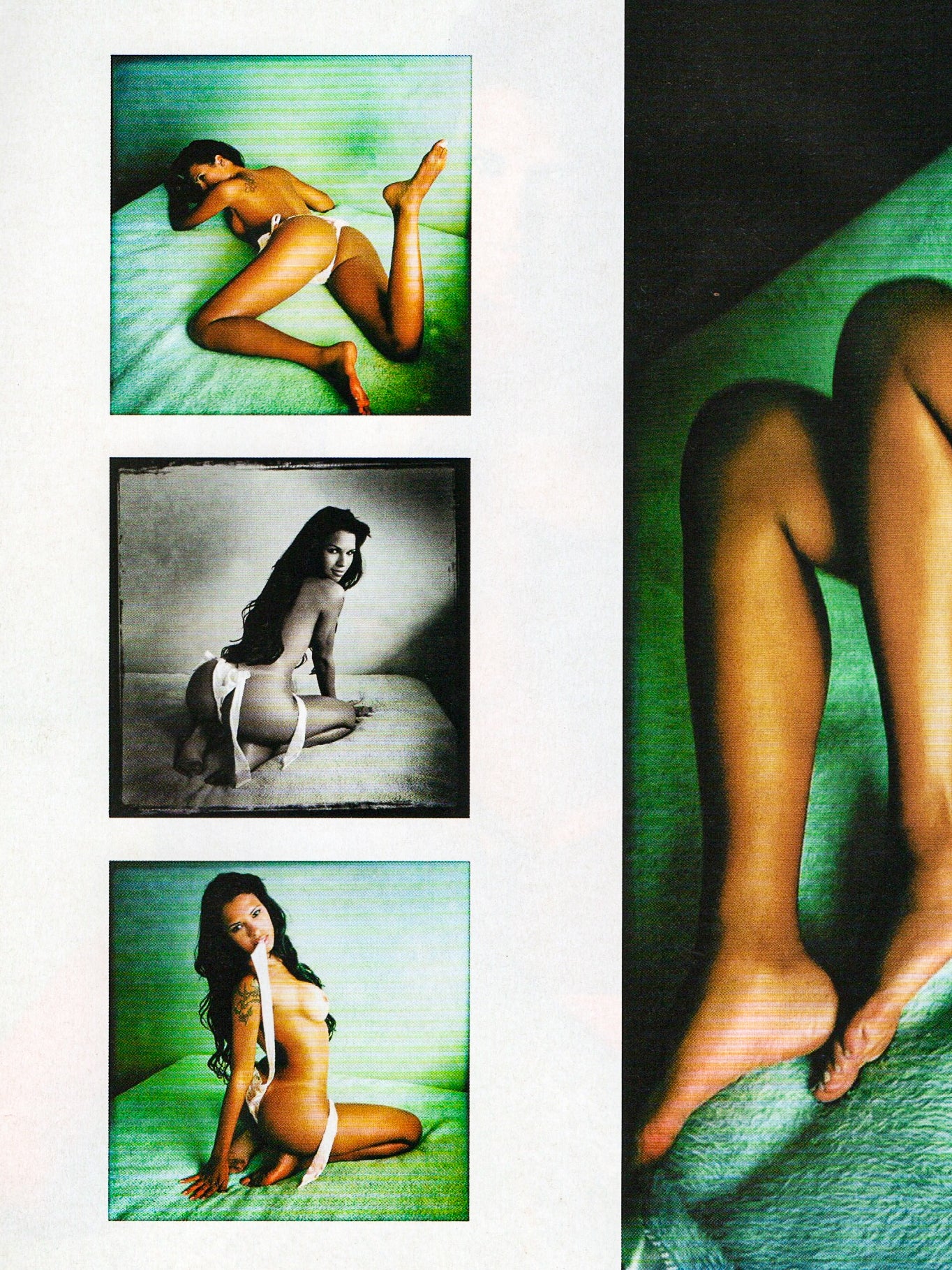 Playboy #431