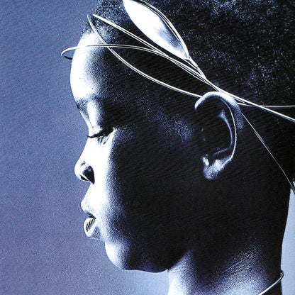 Um Olhar Sobre o Design Brasileiro