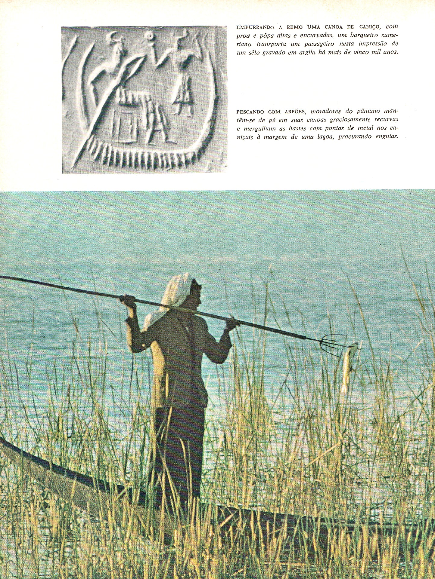 Mesopotâmia: O Berço da Civilização