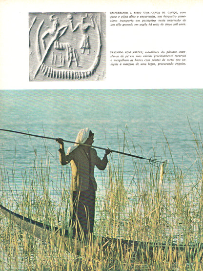 Mesopotâmia: O Berço da Civilização