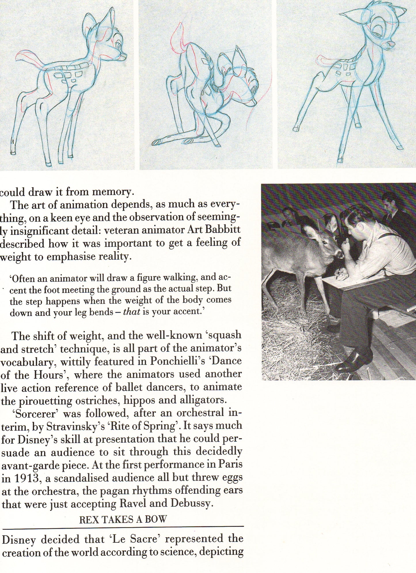 Walt Disney's World of Fantasy