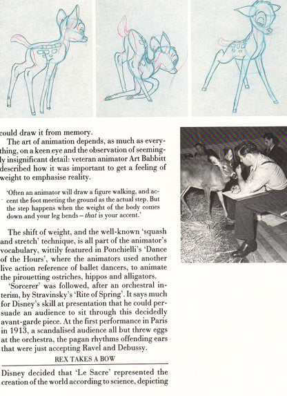 Walt Disney's World of Fantasy