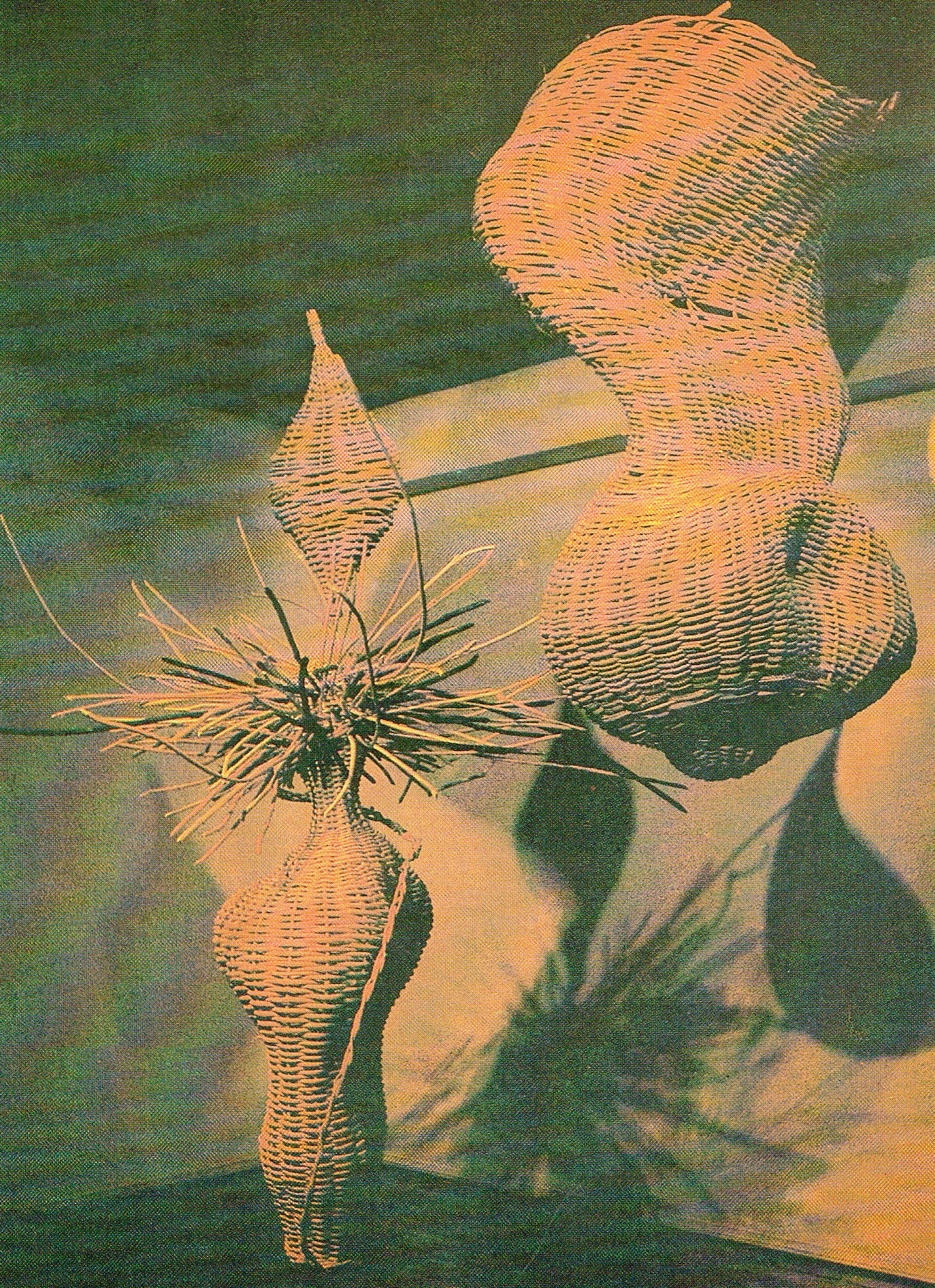 Em torno da Escultura no Brasil