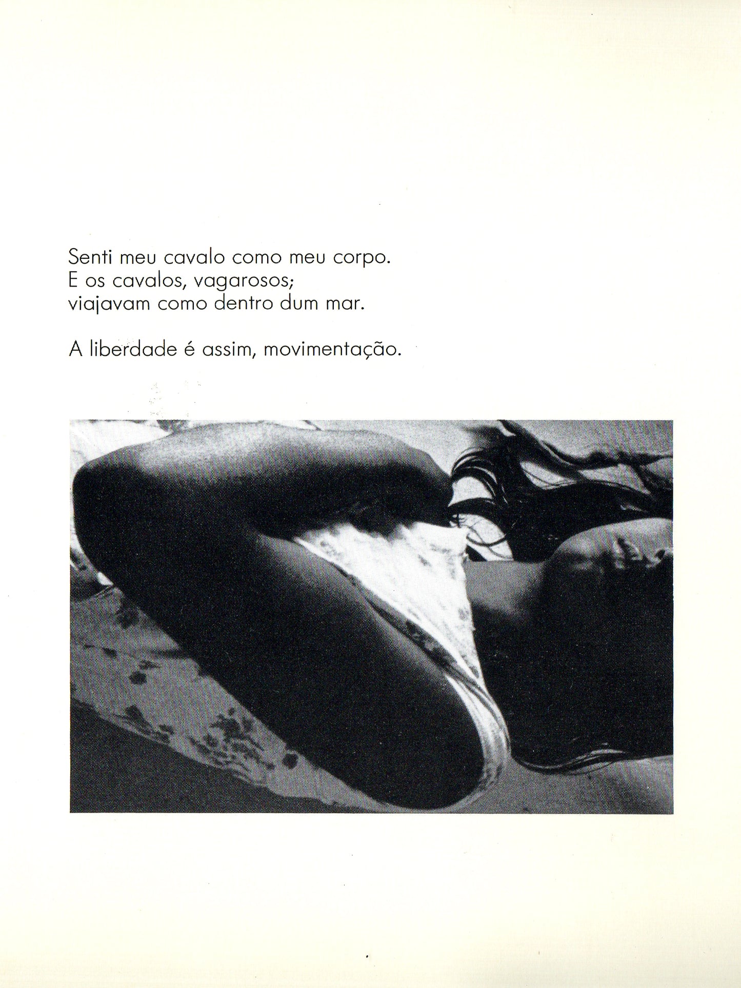 A João Guimarães Rosa