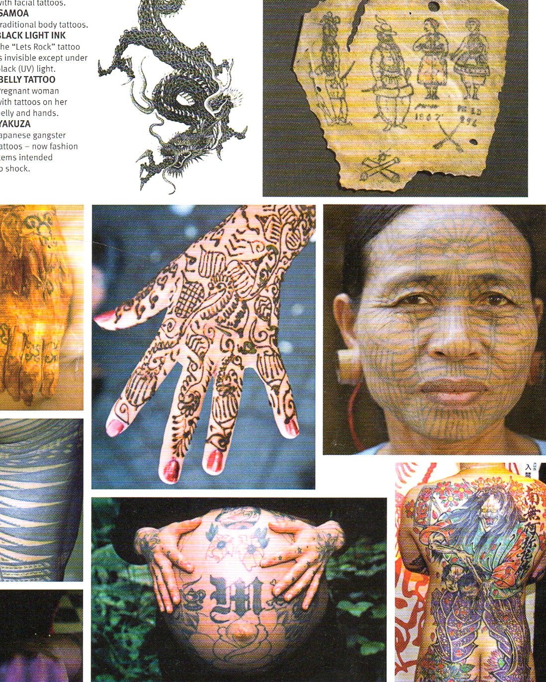 Earth: A Visitor's Guide