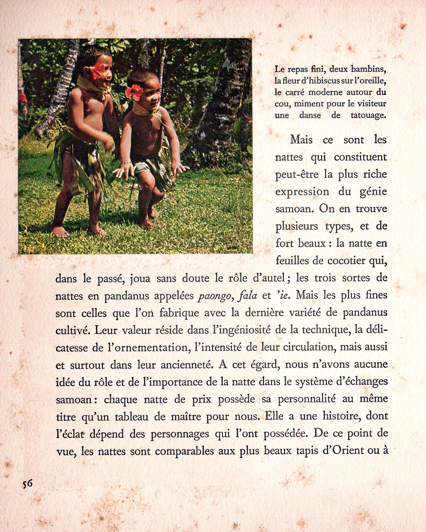 Polynésie: Les Samoa