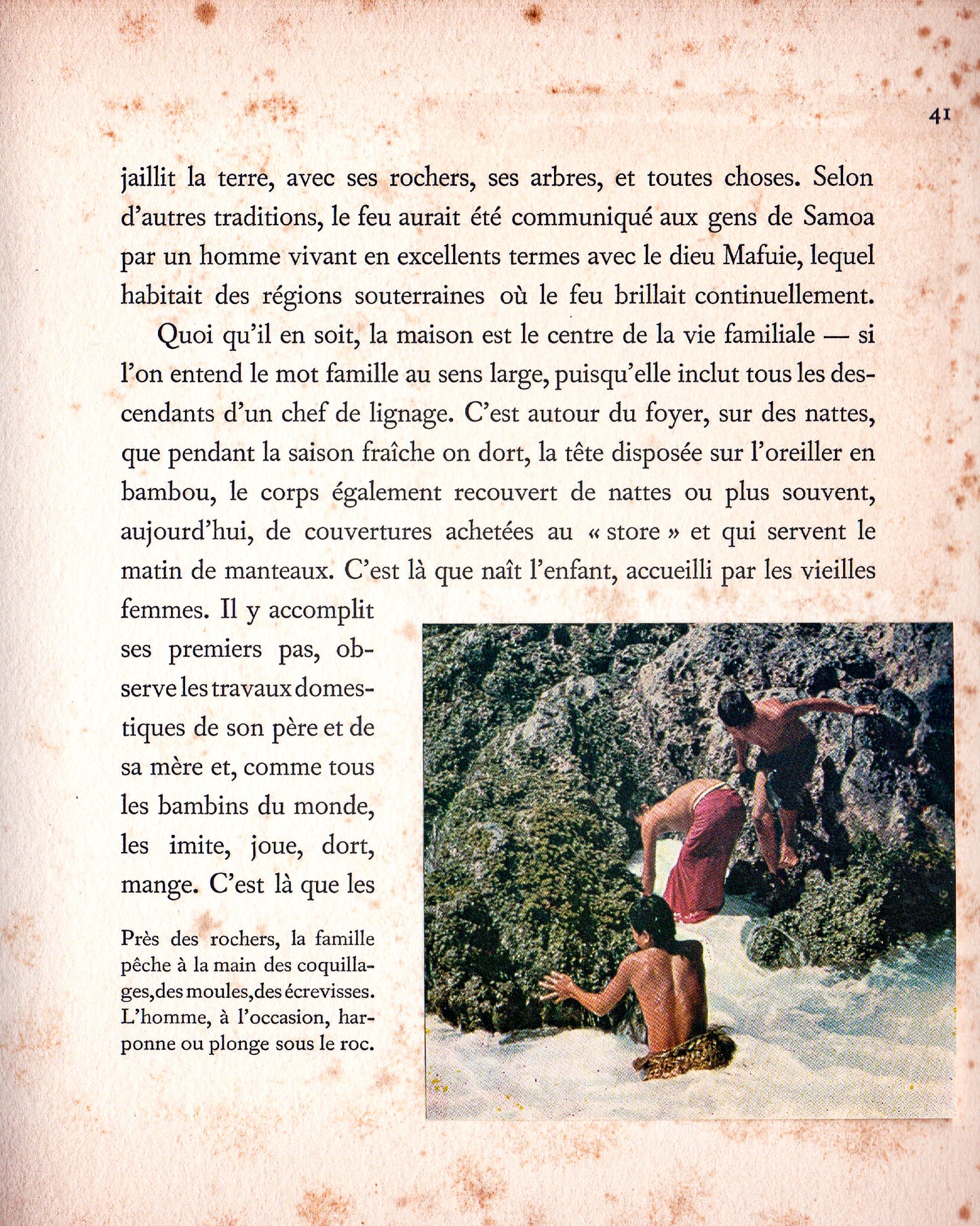 Polynésie: Les Samoa