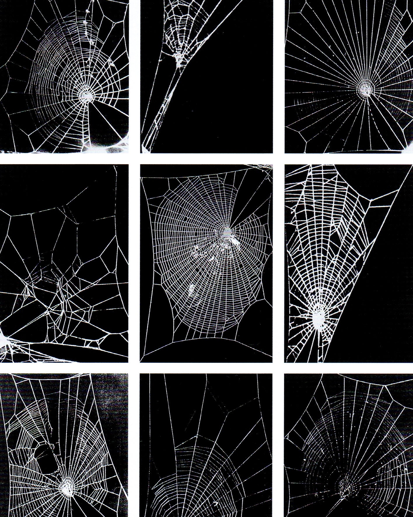 Modern Contemporary: Art at MoMA Since 1980