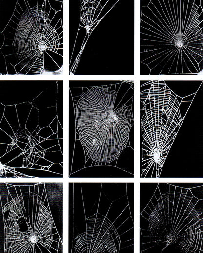 Modern Contemporary: Art at MoMA Since 1980