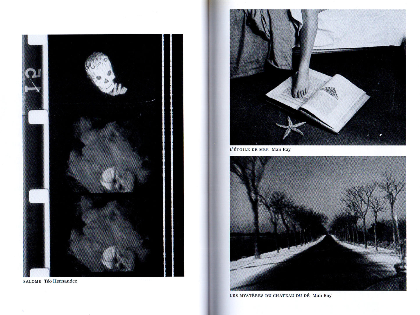 Surrealismo & Vanguardas