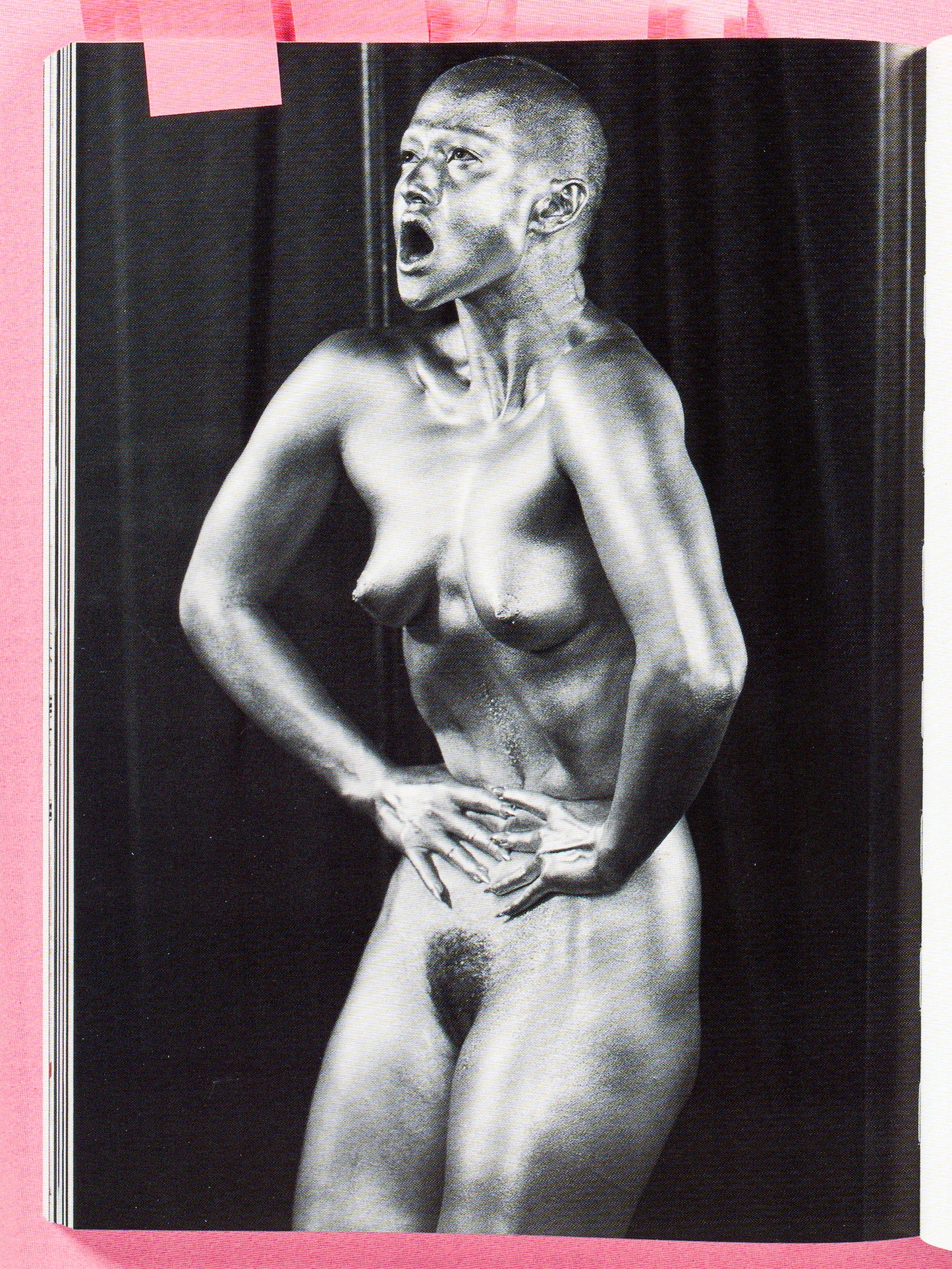 The Candy Book of Transversal Creativity