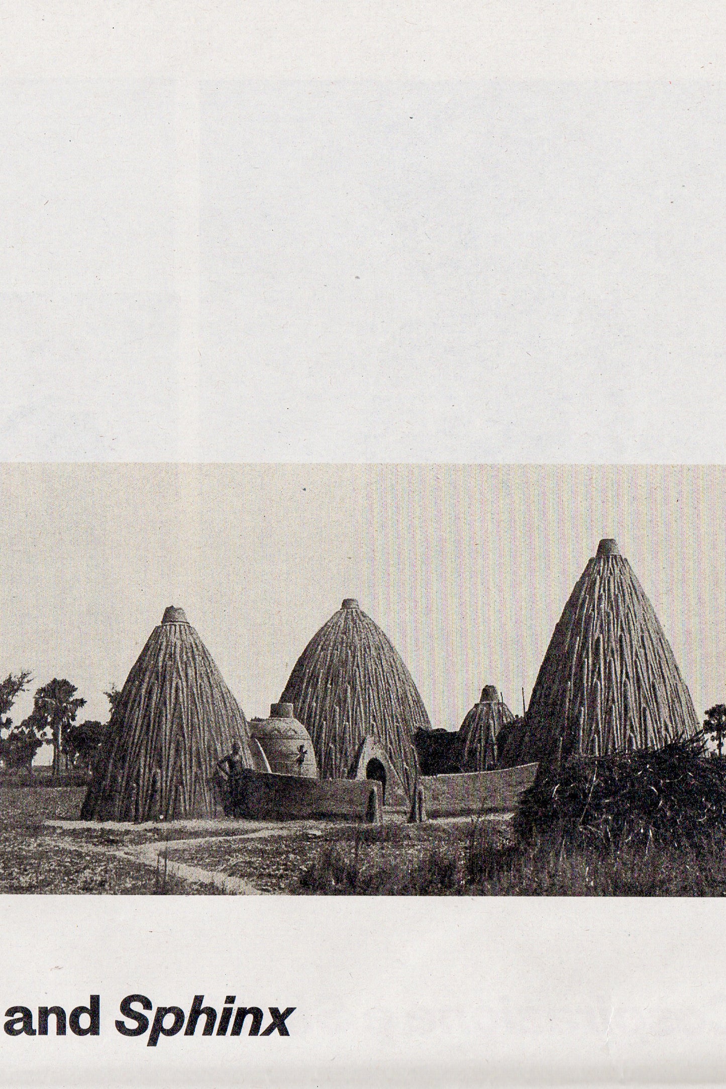 Simone Leigh- Bienal de Veneza