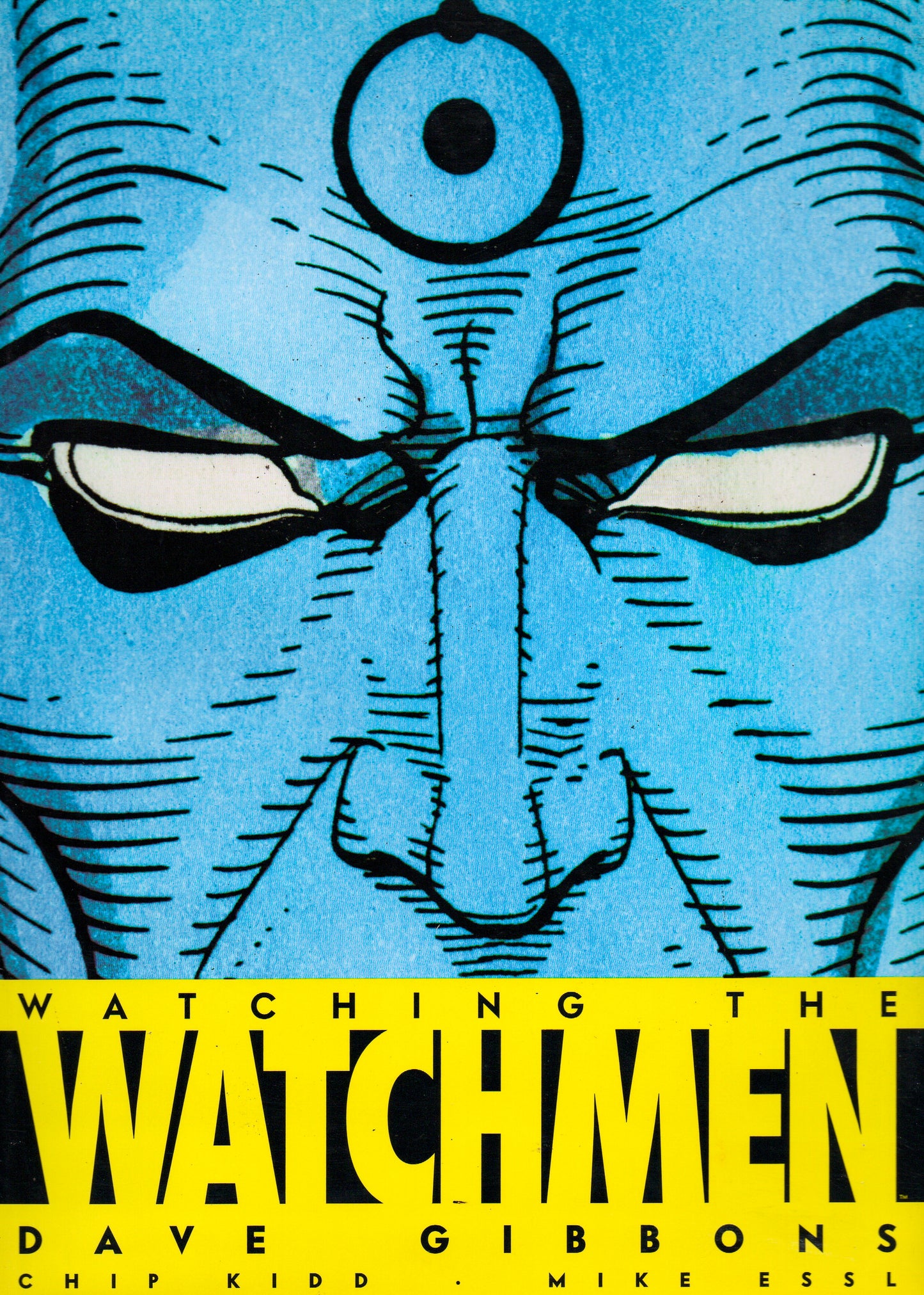 Watching the Watchmen