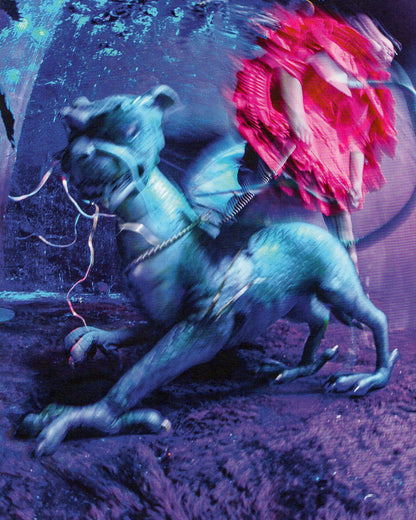 Tim Walker: Wonderful Things