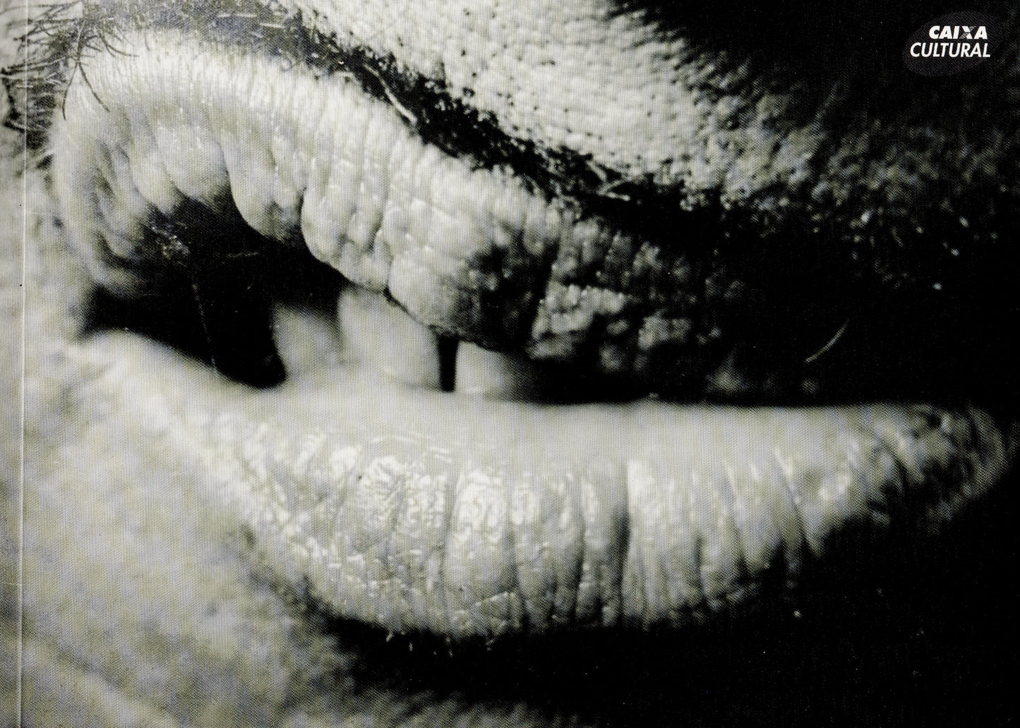 John Waters