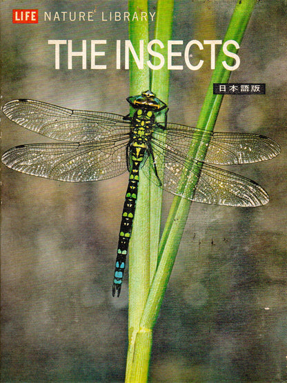 The Insects